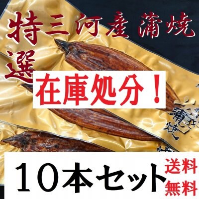 特選三河産蒲焼き10本