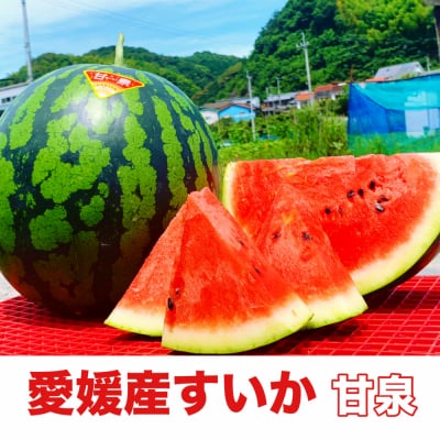 【愛媛県産】すいか|甘泉|8kg以上|大玉