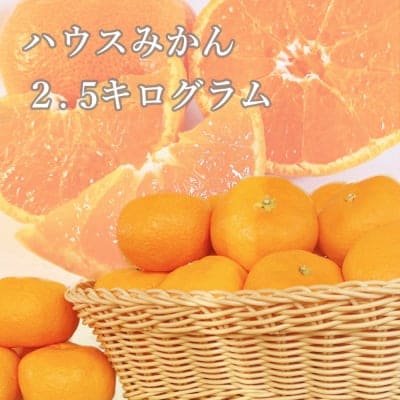 【愛媛県産】ハウスみかん|ご家庭・友人・贈答用|2.5kg