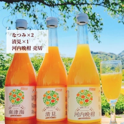 【愛媛県産】果汁100%みかんジュース 3本セット