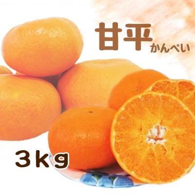 【愛媛県産】甘平|かんぺい|ご家庭・友人・贈答用|3kg