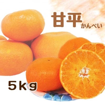 【愛媛県産】甘平|かんぺい|ご家庭・友人用|5kg