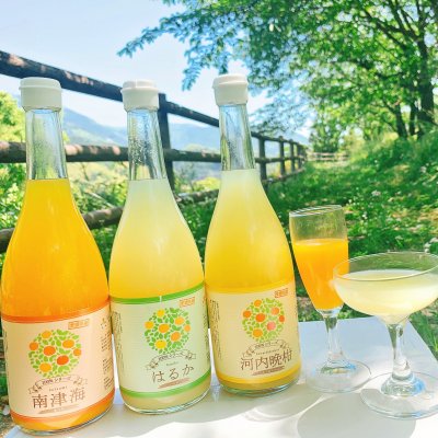【愛媛県産】果汁100%みかんジュース 3本セット