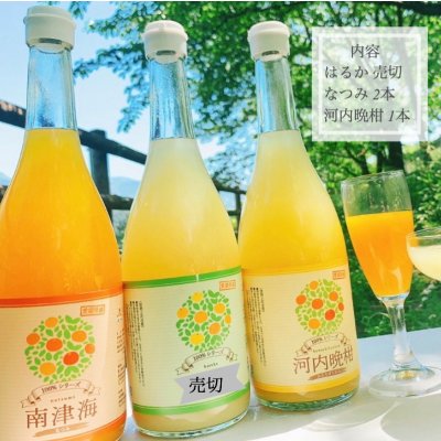 【愛媛県産】果汁100%みかんジュース 3本セット