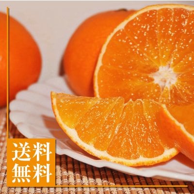 【愛媛県産】愛媛28号|えひめ28号|ご友人・贈答用|5Kg