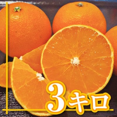 【愛媛県産】愛媛28号|えひめ28号|ご家庭用|3Kg