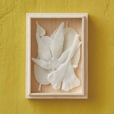 2020.10.NEW RELEASE 秋冬コレクション Autumn HAKO 5枚 箱入り