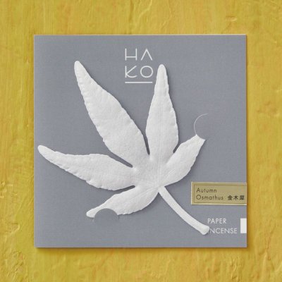 Autumn HA KO Osmathus 金木犀