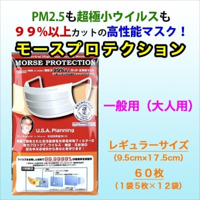 高性能マスク(大人用)【PM2.5・ウイルスを99%カット!】(レギュラーサイズ)60枚入り