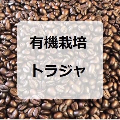 [当店人気ナンバー2]有機栽培トラジャ100g×2/インドネシア産コーヒー豆