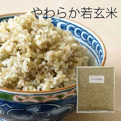 やわらか若玄米 【1kg×1袋】(富山県産コシヒカリまたは滋賀県産きぬむすめ)