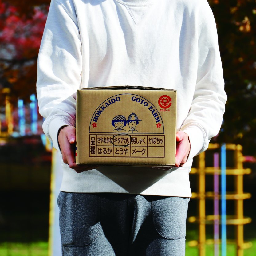 とうや10kg 北海道真狩村ごとう農園のじゃがいも