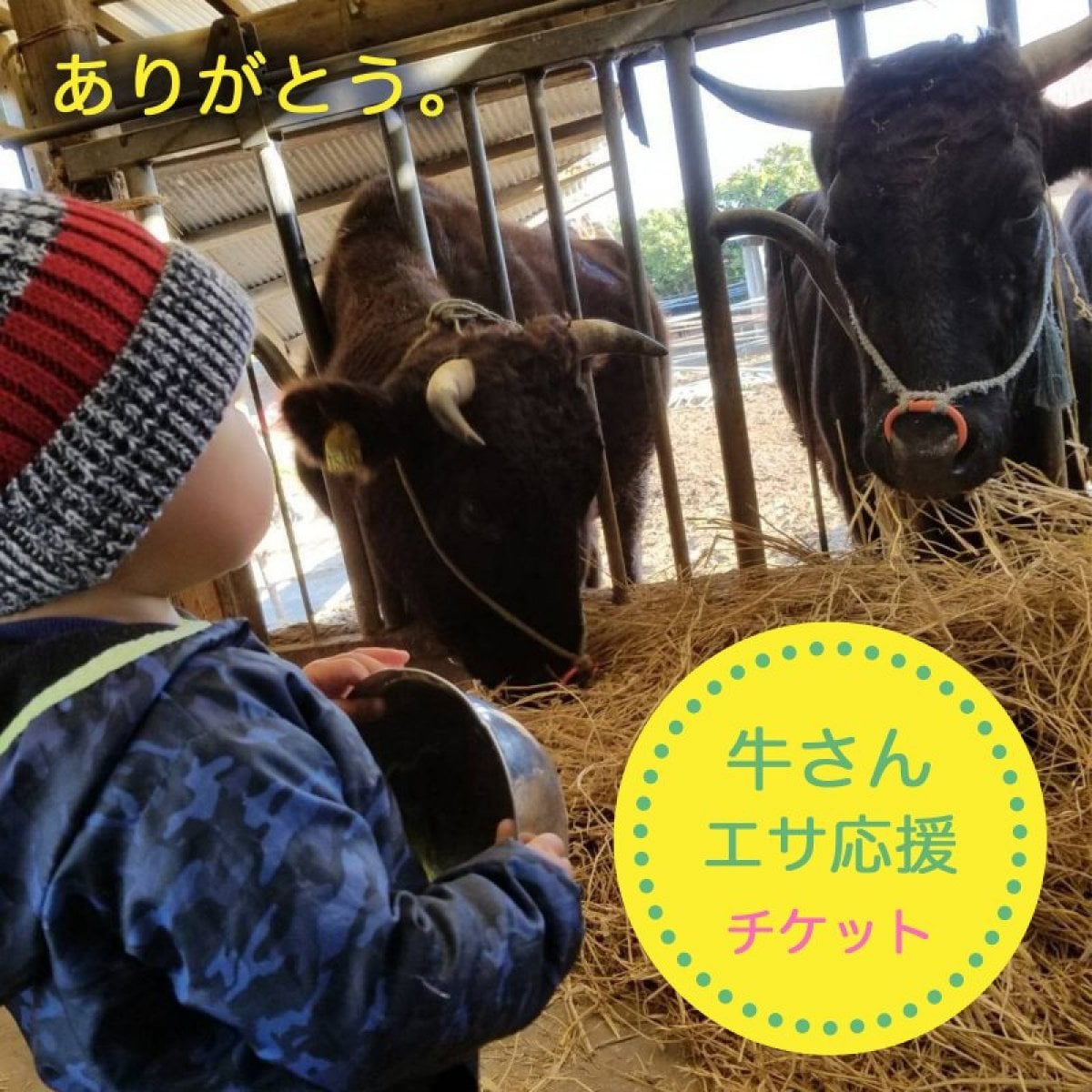牛さん餌応援チケット｜山中牧場×ハンバーぐりこ