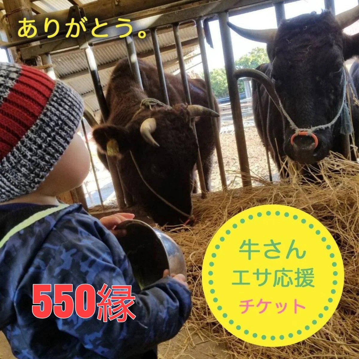【550縁】牛さん餌応援チケット｜山中牧場×ハンバーぐりこ