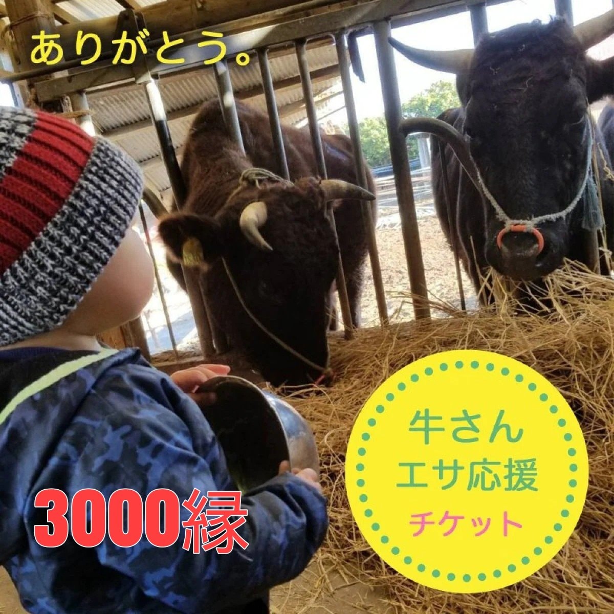 【3000縁】牛さん餌応援チケット｜山中牧場×ハンバーぐりこ