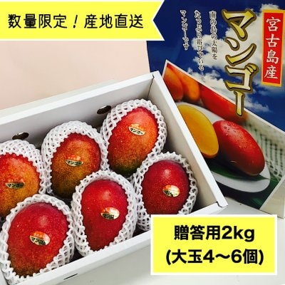 【全国送料無料・贈答用20箱限定】沖縄県宮古島産マンゴー農家さんから採れたて産地直送!2kg(大玉4〜6個)高ポイント還元中!