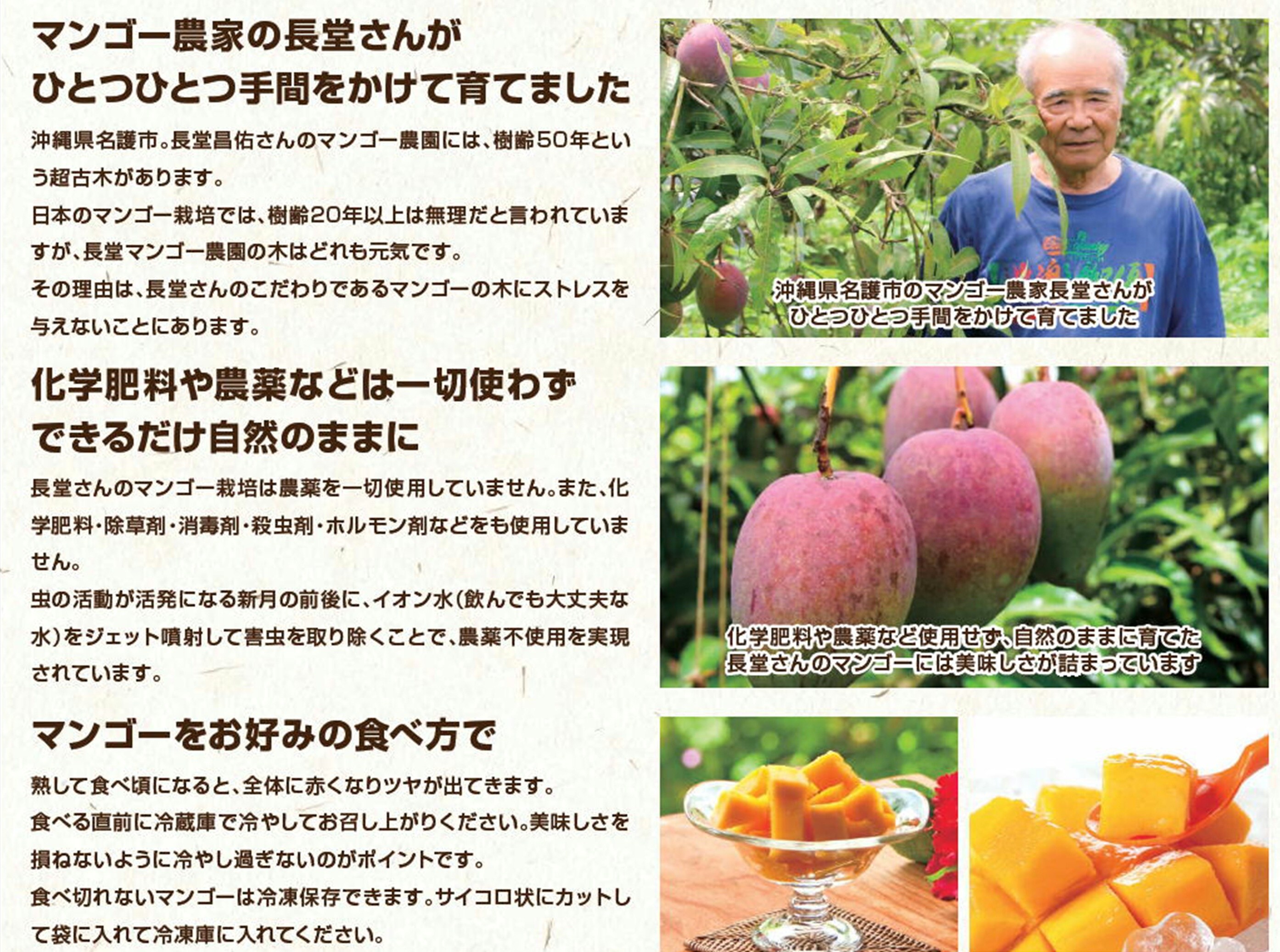 全国送料無料・家庭用】沖縄県産完熟アップルマンゴー(農薬不