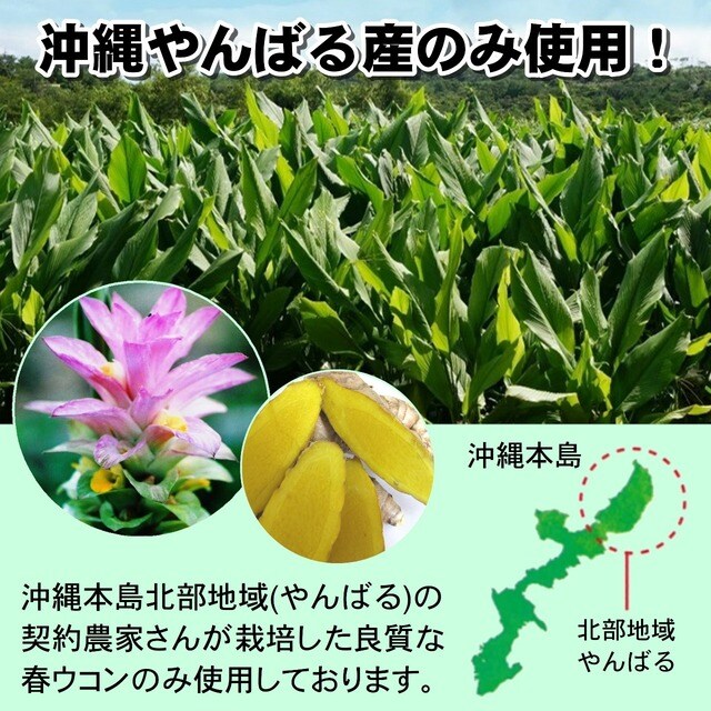 送料無料】沖縄県産春ウコン粒 お徳用350g(約1750粒)/日々の健康 送料無料】沖縄県産春ウコン粒 お徳用350g(約1750粒)/日々の健康