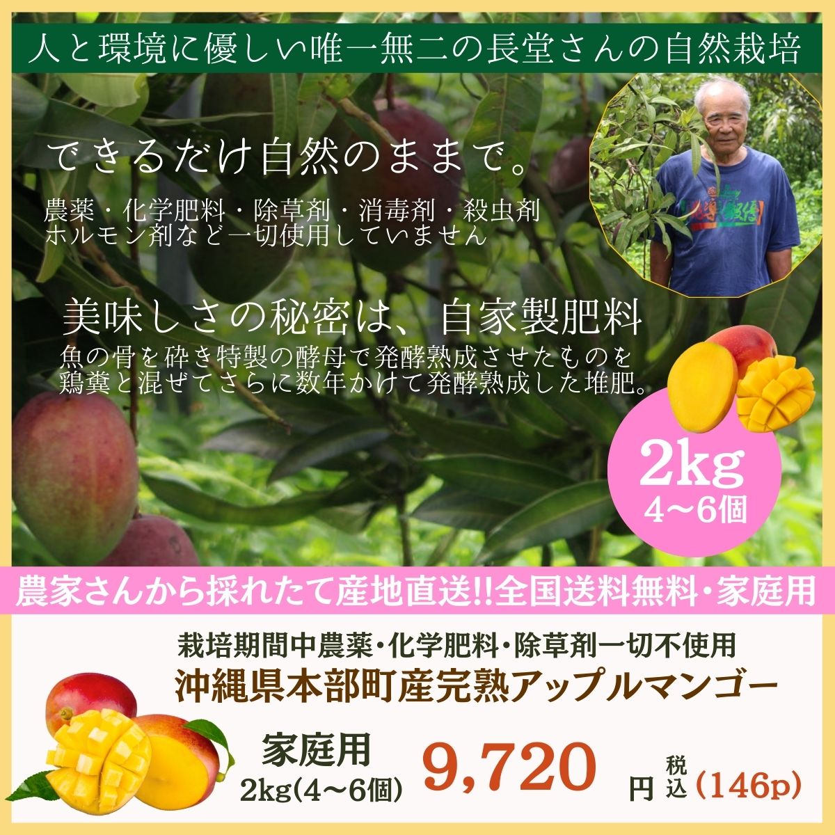 マンゴー+摘果 / 17.5 kg including box item_20240720_152140_135_L.jpg