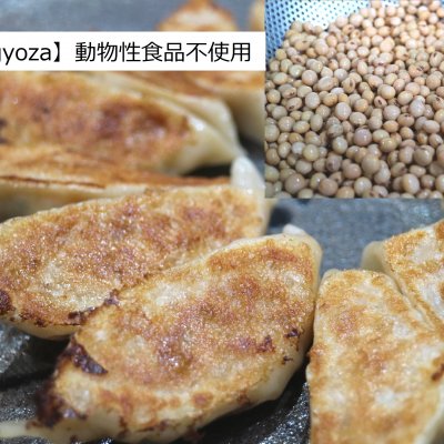 有機小麦・無農薬大豆のビーガン冷凍餃子