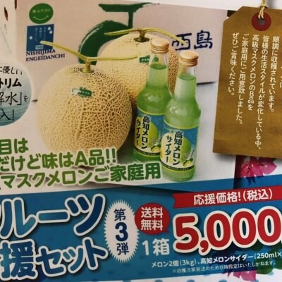 高知こじゃんと応援!フルーツ応援セット 送料無料! 西島園芸団地 メロン2個 メロンサイダー2本