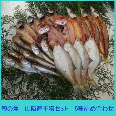 旬の魚を食卓へ山陰産干物セット5種詰め合わせ