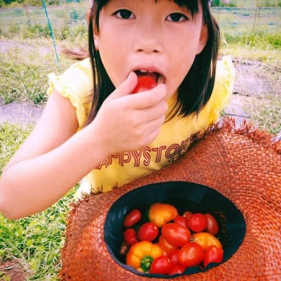 「森のしあわせ野菜」お試しセット