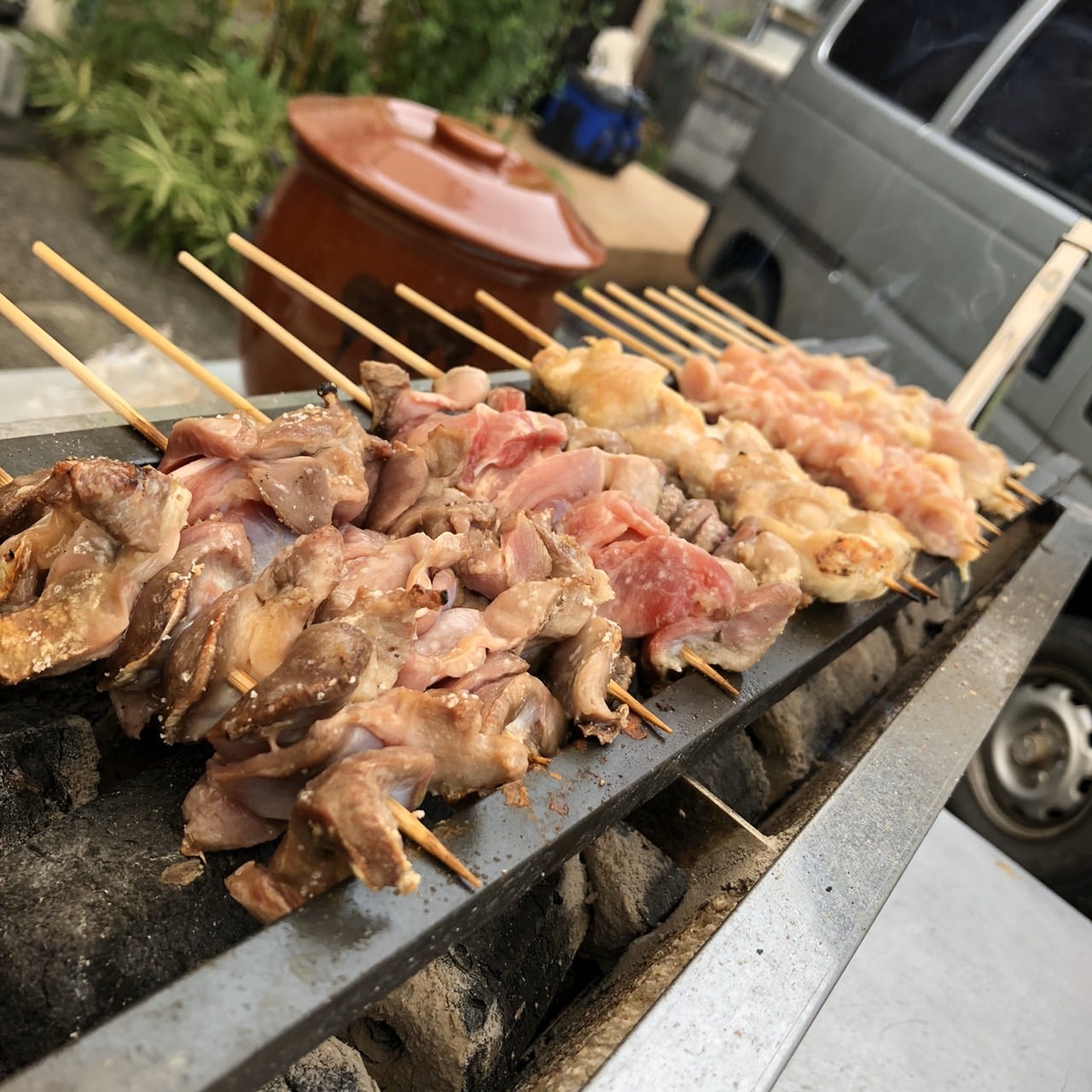 銀行振込 Or 現地払い専用 お酒のお供に焼鳥おすすめ塩焼き１０本盛り 長崎県移動販売の焼鳥りゅうちゃん ツクツク ウェブチケット モバイル コトの通販サイト 体験を買える