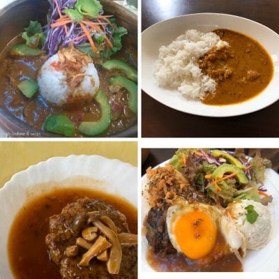 【イベント中止に伴い今だけ特別価格】究極のスパイシーココナツカレー🔥(10個入、1個200グラム)、肉肉しいハンバーグ(10個入、1個150グラム)セット