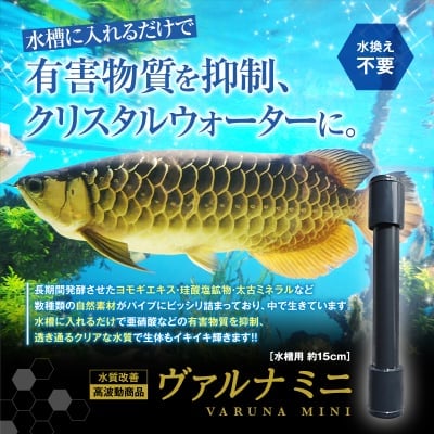 遂に商品化!永続的に亜硝酸が軽減!水槽に沈めるだけのヴァルナミニ!23cmサイズ