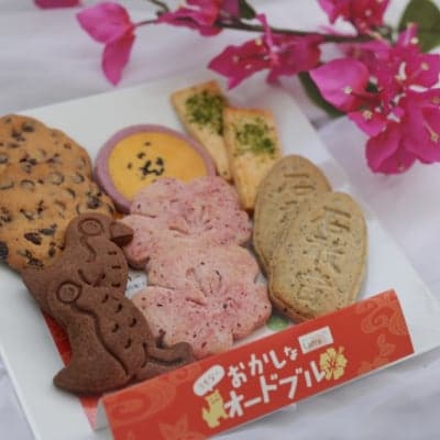 【沖縄みやげ🌺】うちなーおかしなオードブル 小