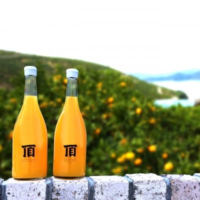 頂みかんジュース6本入(1本720ml)