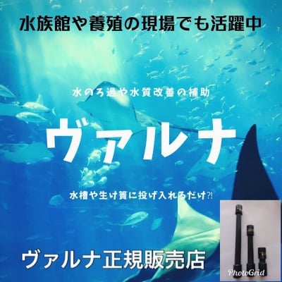 ヴァルナ【池用】水槽用(対応水量500t)熱帯魚・水槽・ろ過
