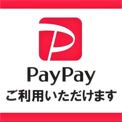 フォーエバーアロエベラジュース Paypayのチャージ払いは５ キャッシュ払いでお得です 美線 ツクツク 通販 モバイル 最もお得な高ポイント還元通販サイト