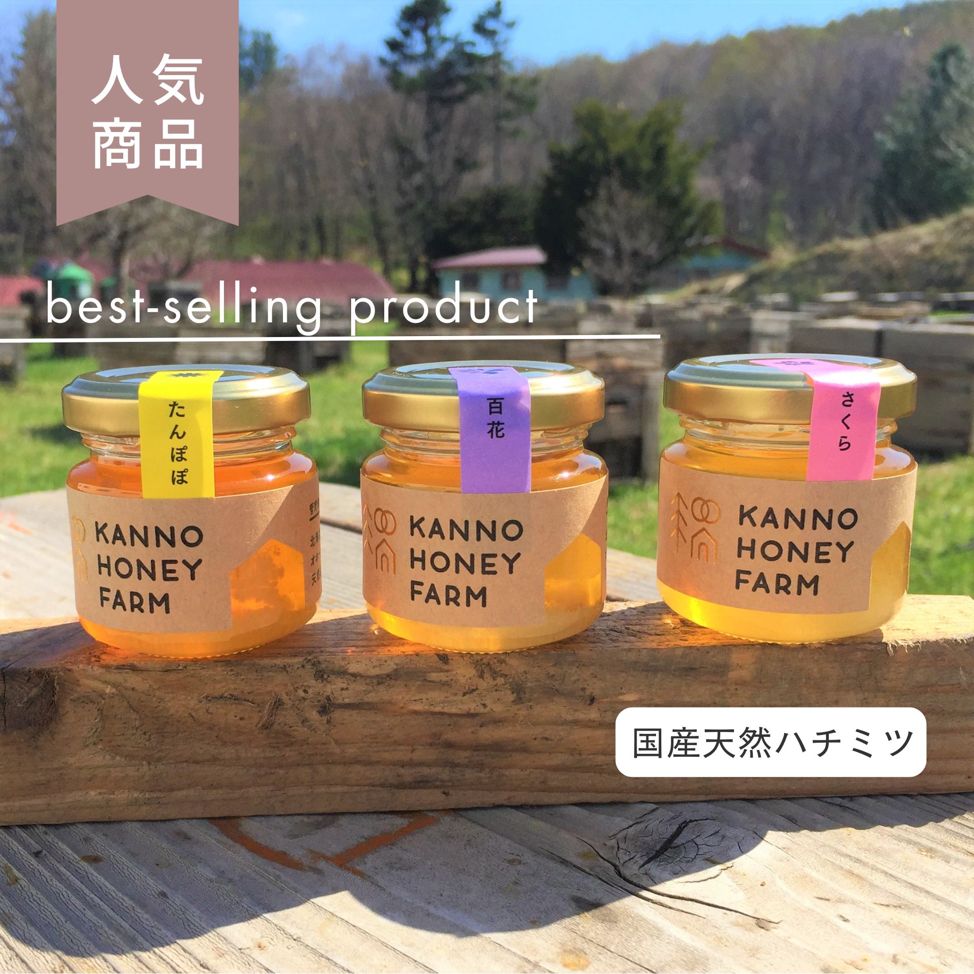 特別限定品★『100%純粋春蜜と通常春蜜の食べ比べ』のコラボ２瓶セット item_20240730_094741_581_ORG.jpg