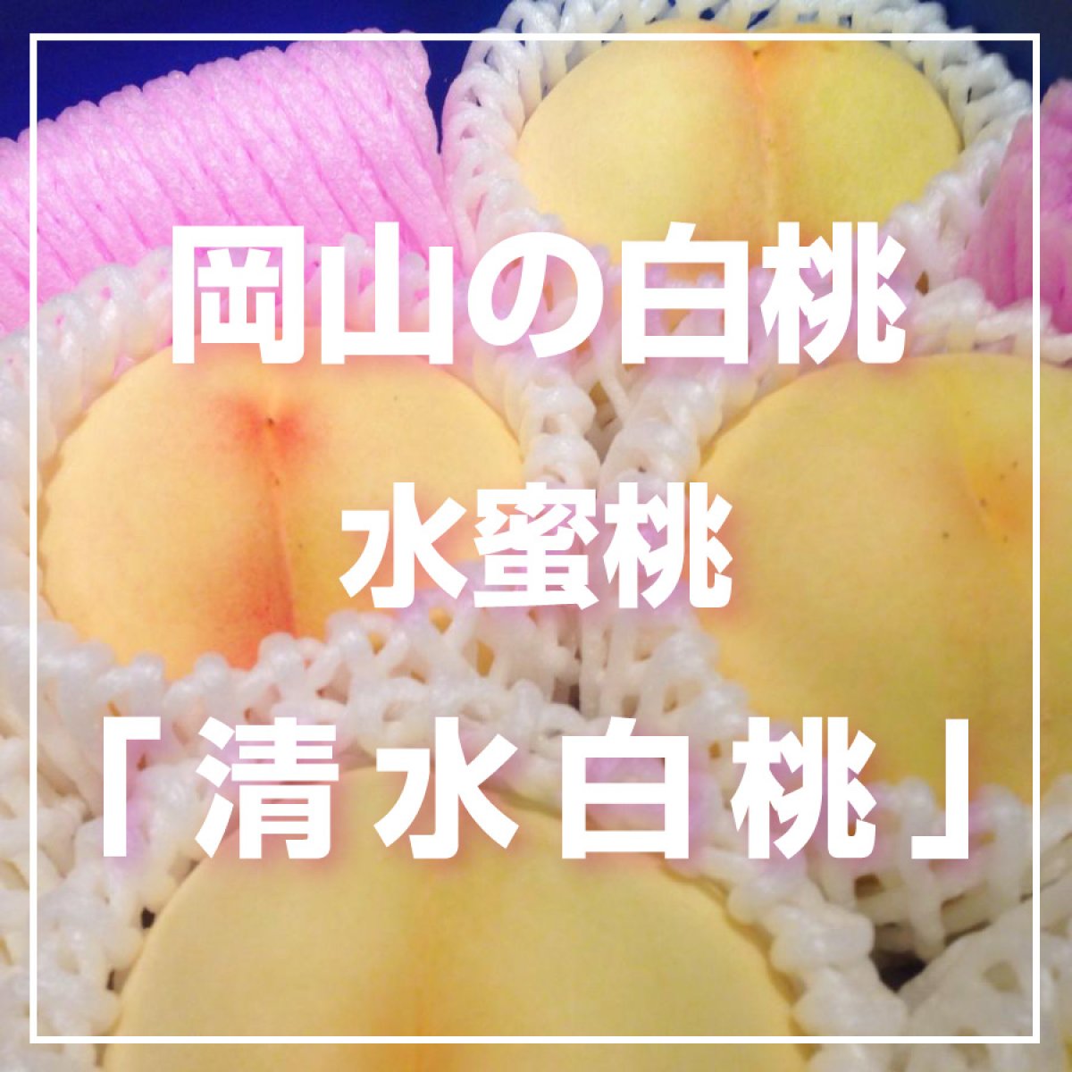 岡山の白桃「清水白桃」特選2kg【送料無料】