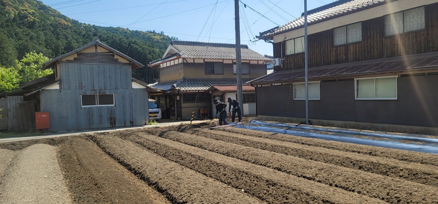 A様専用農作業 委託業務