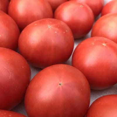 高糖度大玉トマト「ぜいたくとまと」2kg