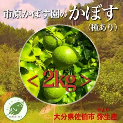 市原かぼす園の産直通販「種ありカボス(2kg)」<大分県佐伯市弥生産>焼き魚の香付けから、酎ハイ・ハイボール・炭酸ジュースの果肉(果汁)に最適!贈答品・お歳暮にどうぞ!