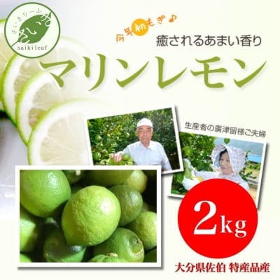 産地直送の通販!そのまま食べられるレモン「マリンレモン(2kg)」<大分県佐伯市の特産品>香りが抜群!もちろん酎ハイ・ハイボール・炭酸ジュースの果肉(果汁)にも最適!贈答品・お歳暮にどうぞ!