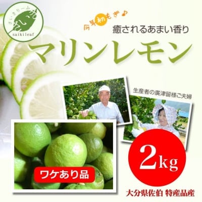 【ワケあり品】産地直送の通販!そのまま食べられるレモン「マリンレモン(2kg)」<大分県佐伯市の特産品>香りが抜群!もちろん酎ハイ・ハイボール・炭酸ジュースの果肉(果汁)にも最適!贈答品・お歳暮にどうぞ!