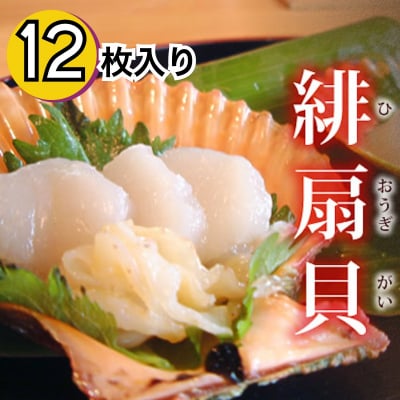 緋扇貝(ヒオウギ貝)12枚入り/ヒオウギガイ/桧扇貝/虹色貝/ひおうぎ貝/佐伯/蒲江/貝/濃厚/肉厚/特産品/ギフト/贈答/贈り物/人気/1位/食卓/華やか/新鮮/生/カラフル/直送/冷蔵/春/夏/秋/冬/宮脇水産/さいきりーふ