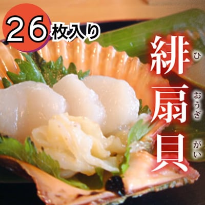 緋扇貝(ヒオウギ貝)26枚入り/ヒオウギガイ/桧扇貝/虹色貝/ひおうぎ貝/佐伯/蒲江/貝/濃厚/肉厚/特産品/ギフト/贈答/贈り物/人気/1位/食卓/華やか/新鮮/生/カラフル/直送/冷蔵/春/夏/秋/冬/宮脇水産/さいきりーふ
