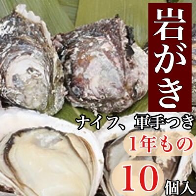 佐伯市蒲江産!岩がき【ナイフ、軍手つき】1年もの/10枚入り《冷蔵》