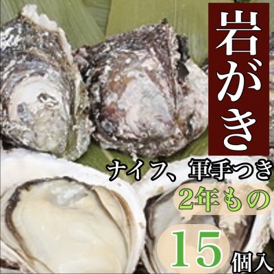 佐伯市蒲江産!岩がき【ナイフ、軍手つき】2年もの/15枚入り《冷蔵》