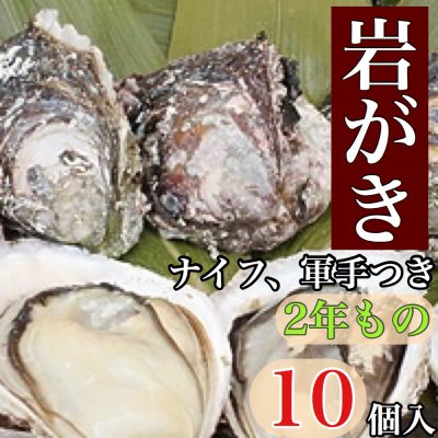 佐伯市蒲江産!岩がき【ナイフ、軍手つき】2年もの/10枚入り《冷蔵》