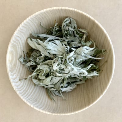 北海道産エゾヨモギハーブティー 20g