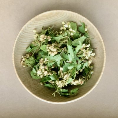 フランス産ホーソンハーブティー 20g