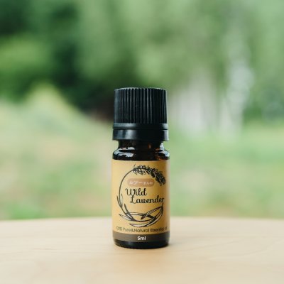 ルソーさんの有機ワイルドラベンダー精油　5ml