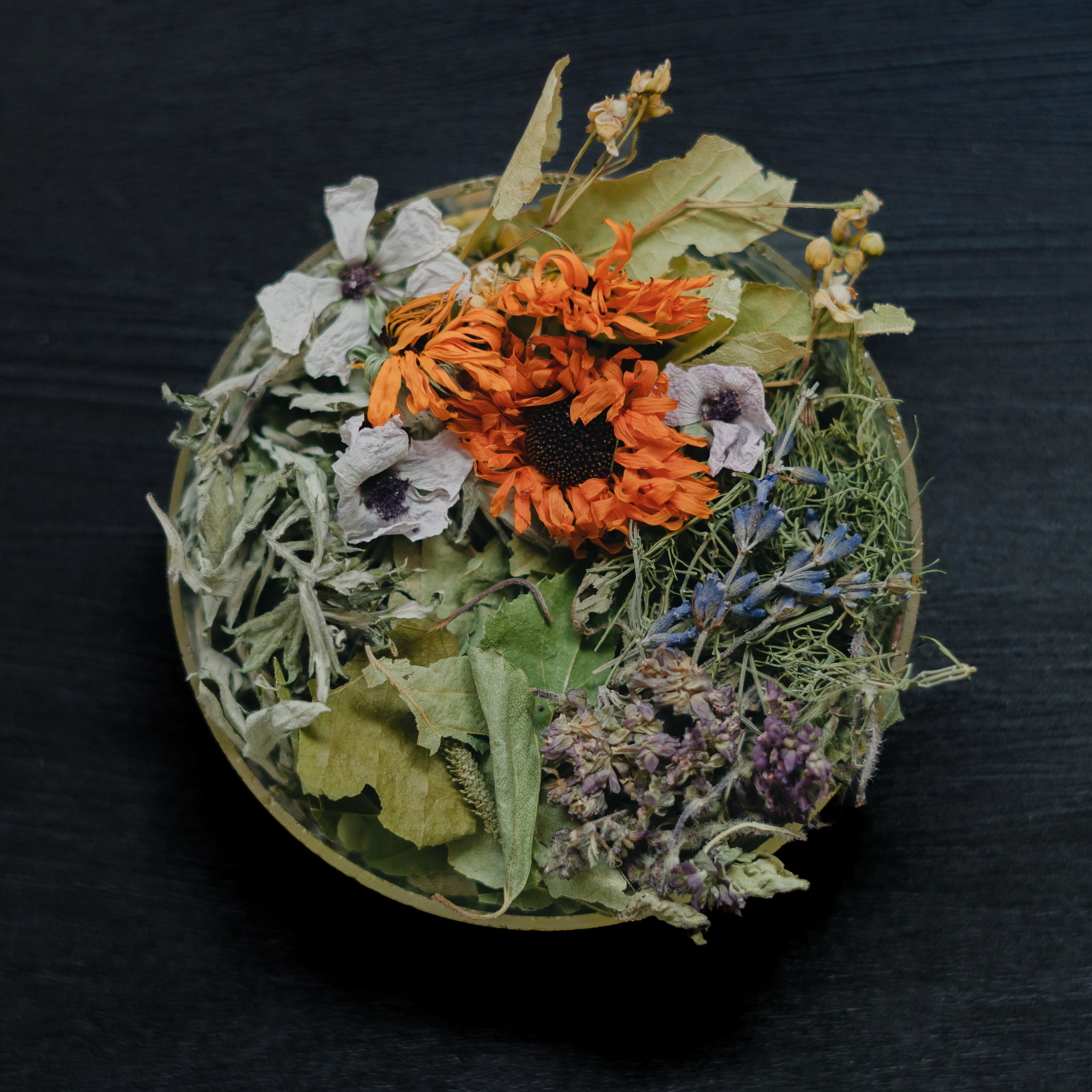 最終値下げ　A Modern Herbal 貴重なハーブの洋書 緊張を和らげる 有機ハーブティー 「和らぎ茶」